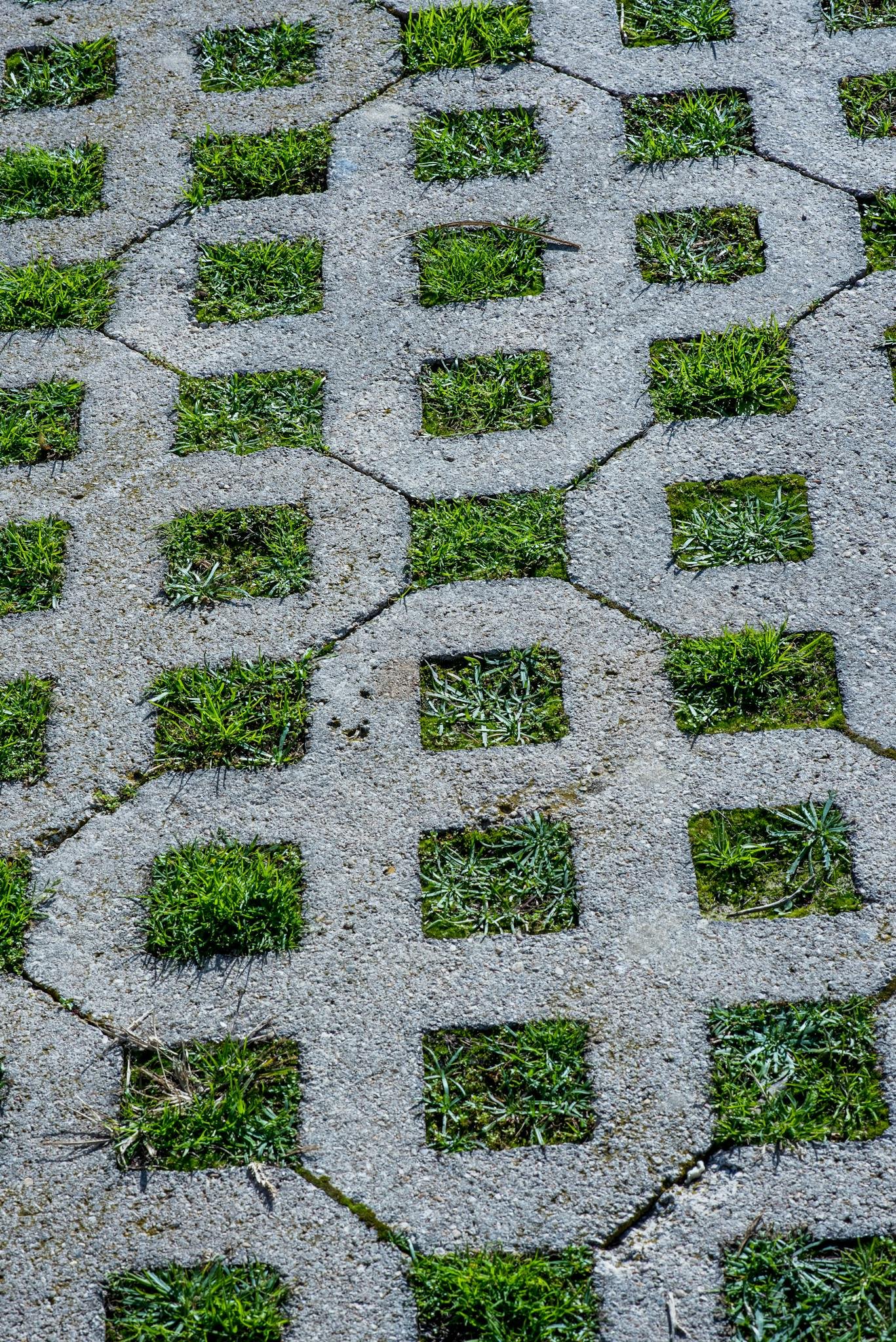 Maximizing Your Blog’s Reach: SEO Tips for Bloggers Geometric concrete pavers with green grass squares create a modern outdoor surface pattern.